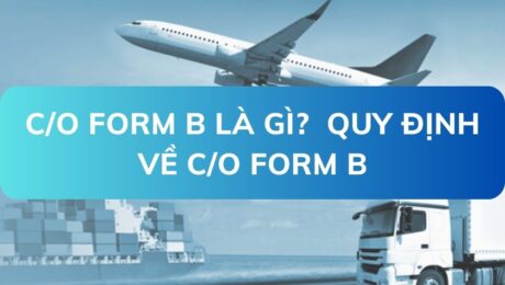 CO-form-B-la-gi-Quy-dinh-ve-CO-Form-B-VanchuyenPhuocAn
