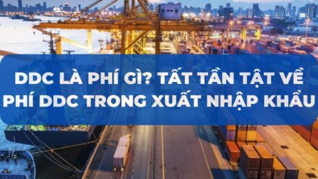 DDC-la-phi-gi-Tat-tan-tat-ve-phi-DDC-trong-xuat-nhap-khau-VanchuyenPhuocAn