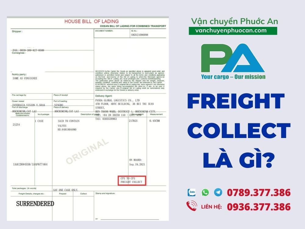 Freight-Collect-la-gi-VanchuyenPhuocAn