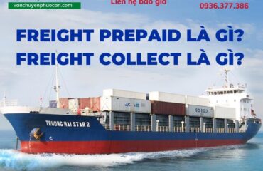 Freight-Prepaid-la-gi-Freight-Collect-la-gi-Cach-phan-biet-VanchuyenPhuocAn