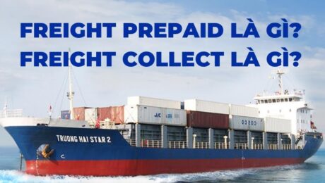 Freight-Prepaid-la-gi-Freight-Collect-la-gi-Cach-phan-biet-VanchuyenPhuocAn