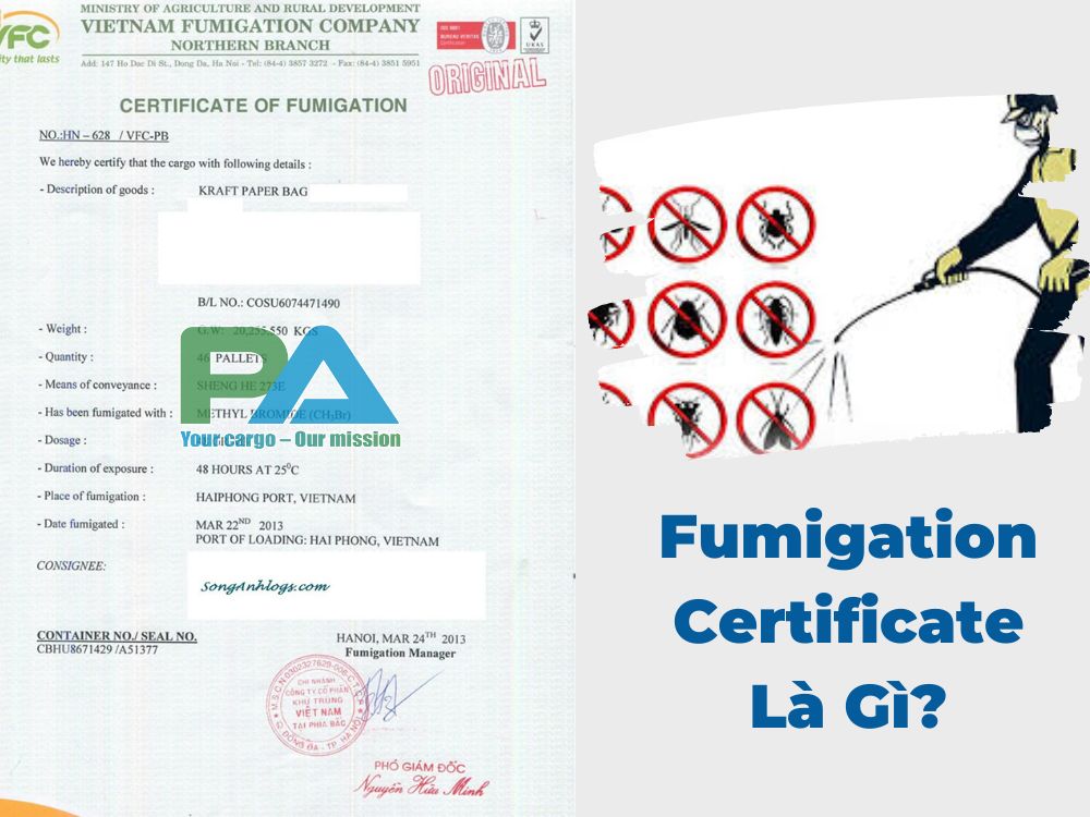 Fumigation-Certificate-la-gi-VanchuyenPhuocAn