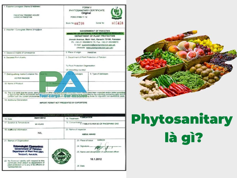 Phytosanitary-la-gi-VanchuyenPhuocAn