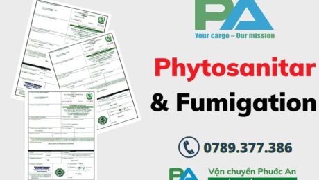 Phytosanitary-la-gi-trong-xuat-nhap-khau-Fumigation-Certificate-la-gi-VanchuyenPhuocAn