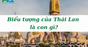 bieu-tuong-cua-thai-lan-la-con-gi-vanchuyenphuocan