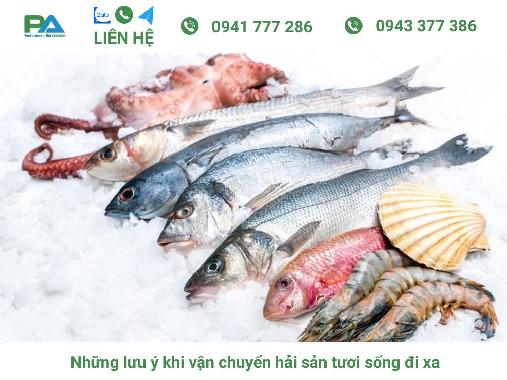 Cách vận chuyển hải sản tươi sống đi xa và những lưu ý cac-luu-y-djac-biet-khi-van-chuyen-hai-san-tuoi-song-di-xa-van-chuyen-phuoc-an
