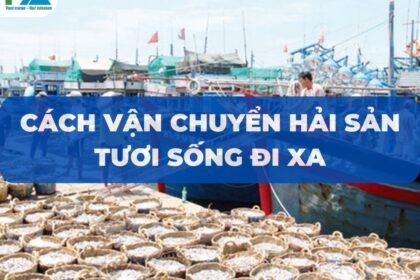 cach-van-chuyen-hai-san-tuoi-song-di-xa-VanchuyenPhuocAn