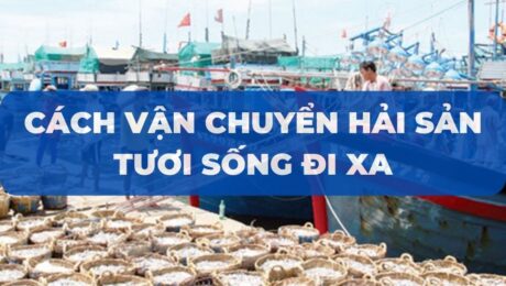 cach-van-chuyen-hai-san-tuoi-song-di-xa-VanchuyenPhuocAn
