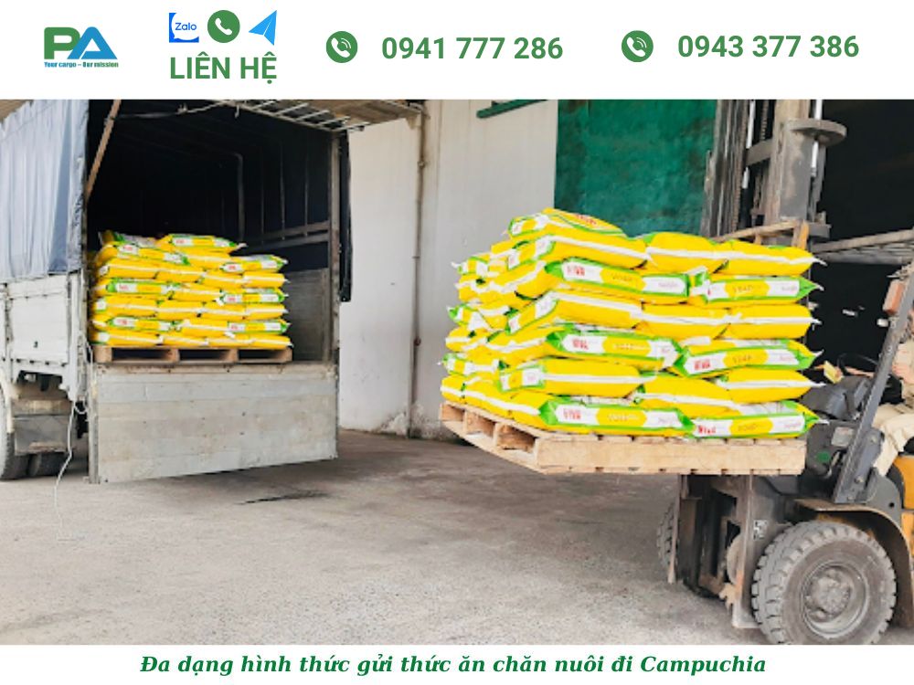 Dịch vụ Vận chuyển thức ăn chăn nuôi đi Campuchia trọn gói can-chuan-bi-gi-truoc-khi-van-chuyen-thuc-an-chan-nuoi-di-campuchia-van-chuyen-phuoc-an