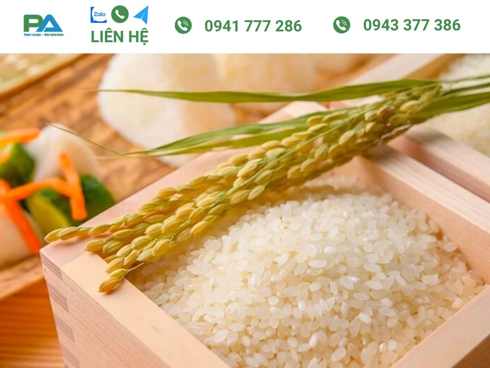 chi-tiet-ve-dich-vu-van-chuyen-gao-qua-lao-cua-phuoc-an-logistics