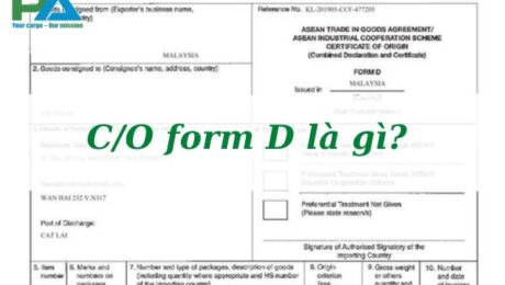 co-form-d-la-gi-chi-tiet-ve-co-form-d-vanchuyenphuocan