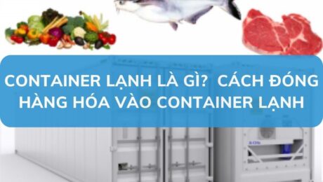 container-lanh-la-gi-cach-dong-hang-hoa-vao-container-lanh-VanchuyenPhuocAn