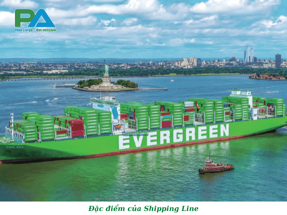 dac-diem-cua-shipping-line-vanchuyenphuocan