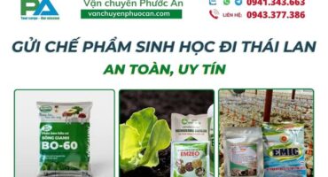 dich-vu-gui-che-pham-sinh-hoc-di-thai-lan-an-toan-uy-tin-vanchuyenphuocan