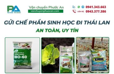 dich-vu-gui-che-pham-sinh-hoc-di-thai-lan-an-toan-uy-tin-vanchuyenphuocan