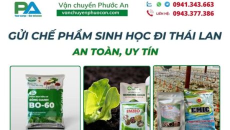 dich-vu-gui-che-pham-sinh-hoc-di-thai-lan-an-toan-uy-tin-vanchuyenphuocan