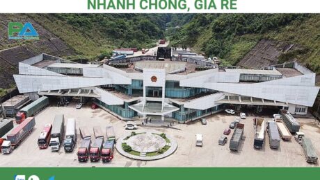 dich-vu-van-chuyen-hang-tu-lao-ve-viet-nam-gia-re-cua-van-chuyen-phuoc-an