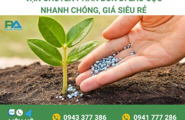 dich-vu-van-chuyen-phan-bon-dji-lao-gia-re-van-chuyen-phuoc-an dich-vu-van-chuyen-phan-bon-dji-lao-gia-re-van-chuyen-phuoc-an