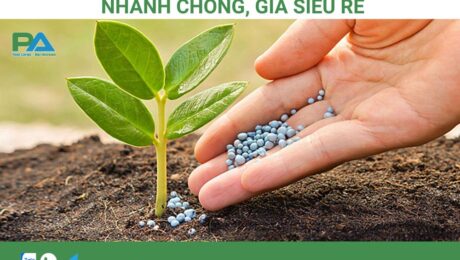 dich-vu-van-chuyen-phan-bon-dji-lao-gia-re-van-chuyen-phuoc-an dich-vu-van-chuyen-phan-bon-dji-lao-gia-re-van-chuyen-phuoc-an