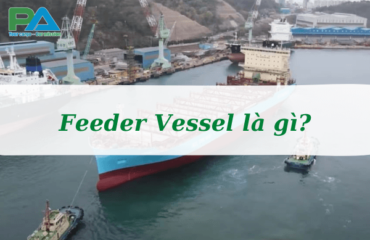 feeder-vessel-la-gi-uu-nhuoc-diem-cua-feeder-vessel-vanchuyenphuocan