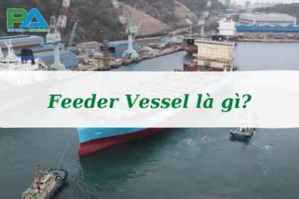 feeder-vessel-la-gi-uu-nhuoc-diem-cua-feeder-vessel-vanchuyenphuocan