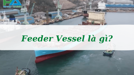 feeder-vessel-la-gi-uu-nhuoc-diem-cua-feeder-vessel-vanchuyenphuocan