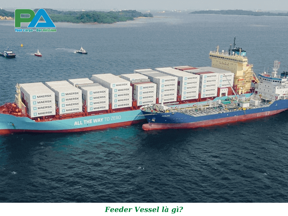 feeder-vessel-la-gi-vanchuyenphuocan