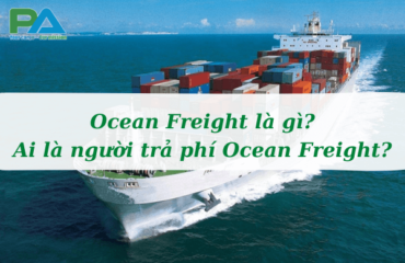 ocean-freight-la-gi-ai-la-nguoi-tra-phi-ocean-freight-vanchuyenphuocan