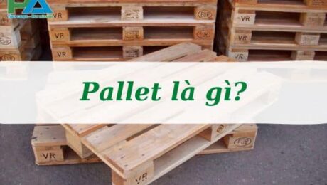 pallet-la-gi-pallet-co-nhung-loai-nao-vanchuyenphuocan
