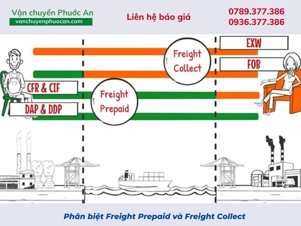 phan-biet-Freight-Prepaid-va-Freight-Collect-VanchuyenPhuocAn