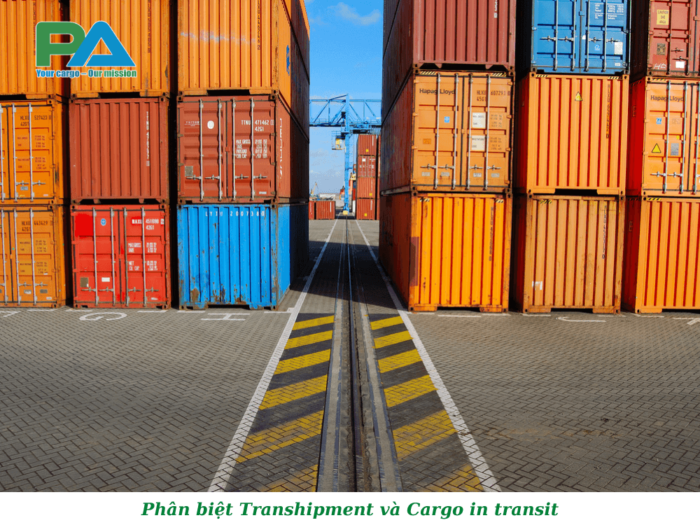 phan-biet-transhipment-va-cargo-in-transit-vanchuyenphuocan