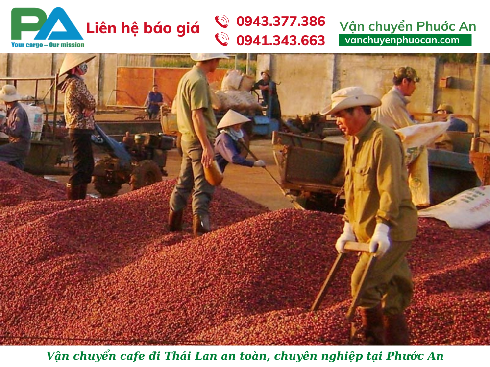 quy-trinh-van-chuyen-cafe-di-thai-lan-tai-van-chuyen-phuoc-an-vanchuyenphuocan