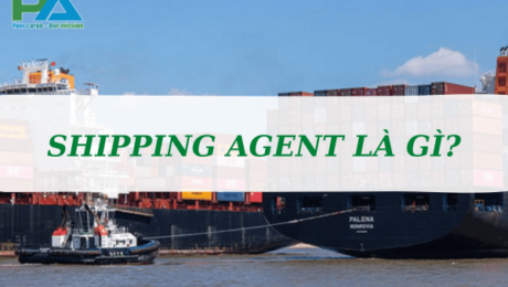 shipping-agent-la-gi-shipping-cung-cap-cac-dich-vu-vanchuyenphuocan