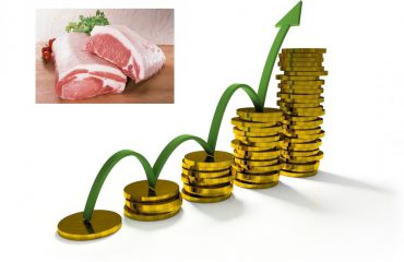 Giá thịt lợn vẫn tiếp tục tăng