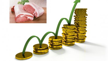 Giá thịt lợn vẫn tiếp tục tăng