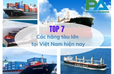 top-7-cac-hang-tau-lon-tai-viet-nam-hien-nay-vanchuyenphuocan