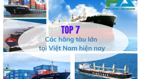 top-7-cac-hang-tau-lon-tai-viet-nam-hien-nay-vanchuyenphuocan