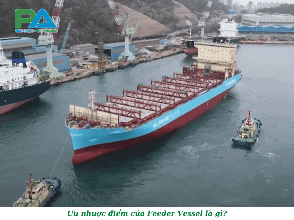 uu-nhuoc-diem-cua-feeder-vessel-vanchuyenphuocan