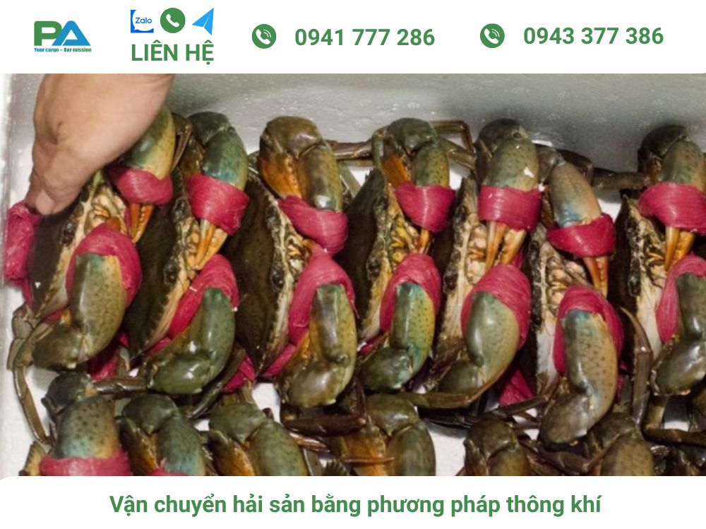 Cách vận chuyển hải sản tươi sống đi xa và những lưu ý van-chuyen-bang-phuong-phap-thong-khi-van-chuyen-phuoc-an