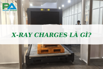 x-ray-charges-la-gi-cac-loai-phu-phi-lien-quan-vanchuyenphuocan