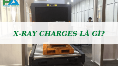 x-ray-charges-la-gi-cac-loai-phu-phi-lien-quan-vanchuyenphuocan